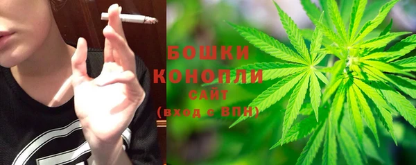 не бодяженный Каменногорск