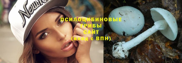 твердый Каменка