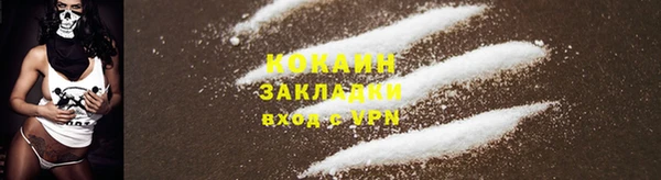 твердый Каменка