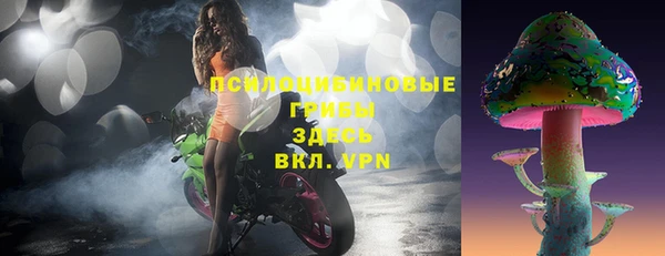 не бодяженный Каменногорск