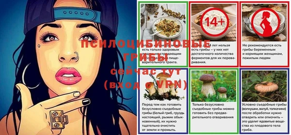 твердый Каменка
