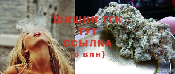 твердый Каменка
