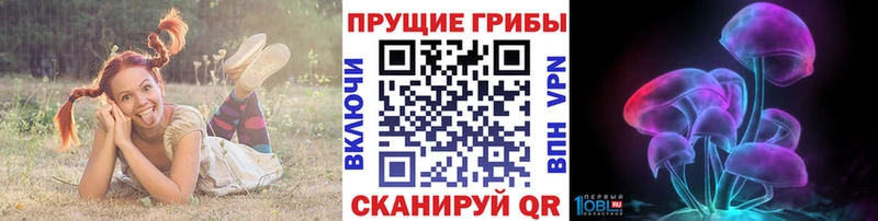 Купить  Рыльск  Псилоцибиновые грибы мицелий 